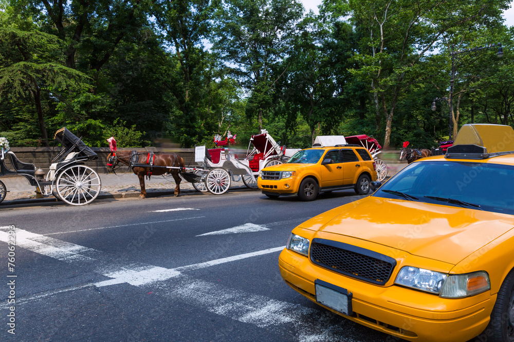 Central Park horse carriage rides in New York Central Park horse carriage rides in New York