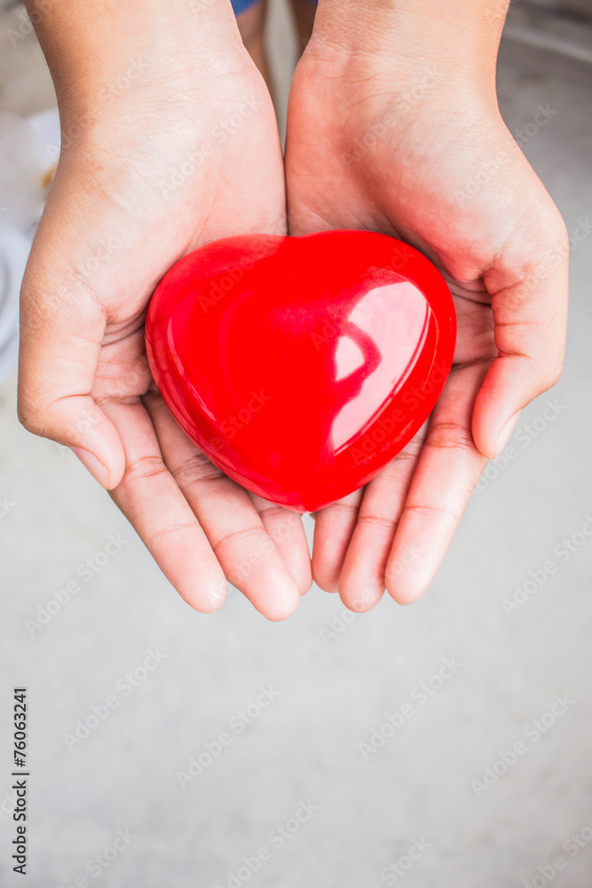 Fototapeta premium heart in hands