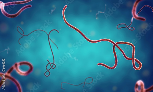 ebola virus photo