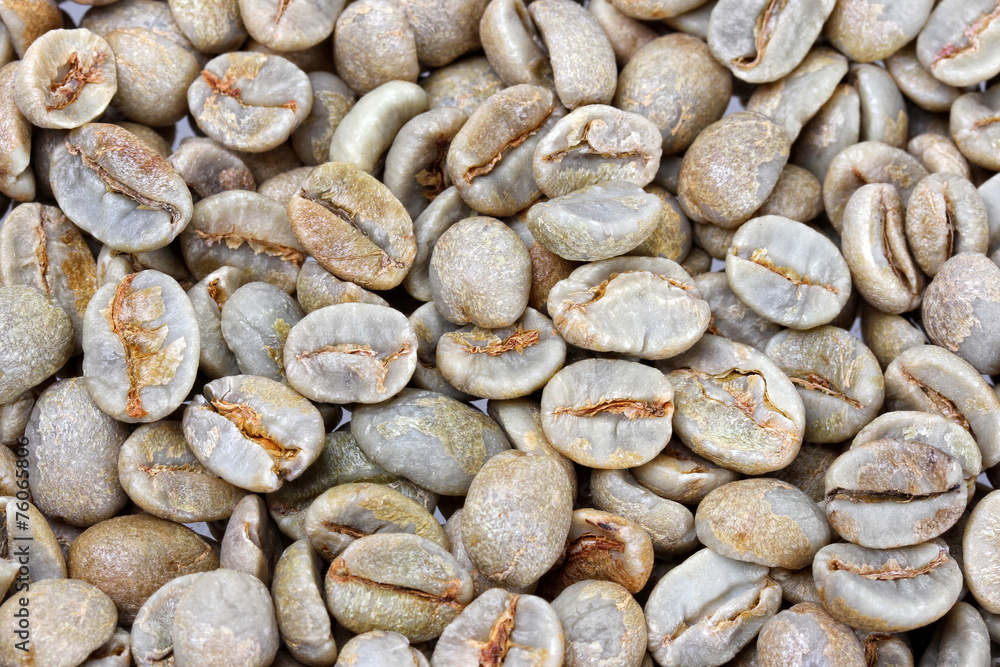 Raw coffee beans Raw coffee beans