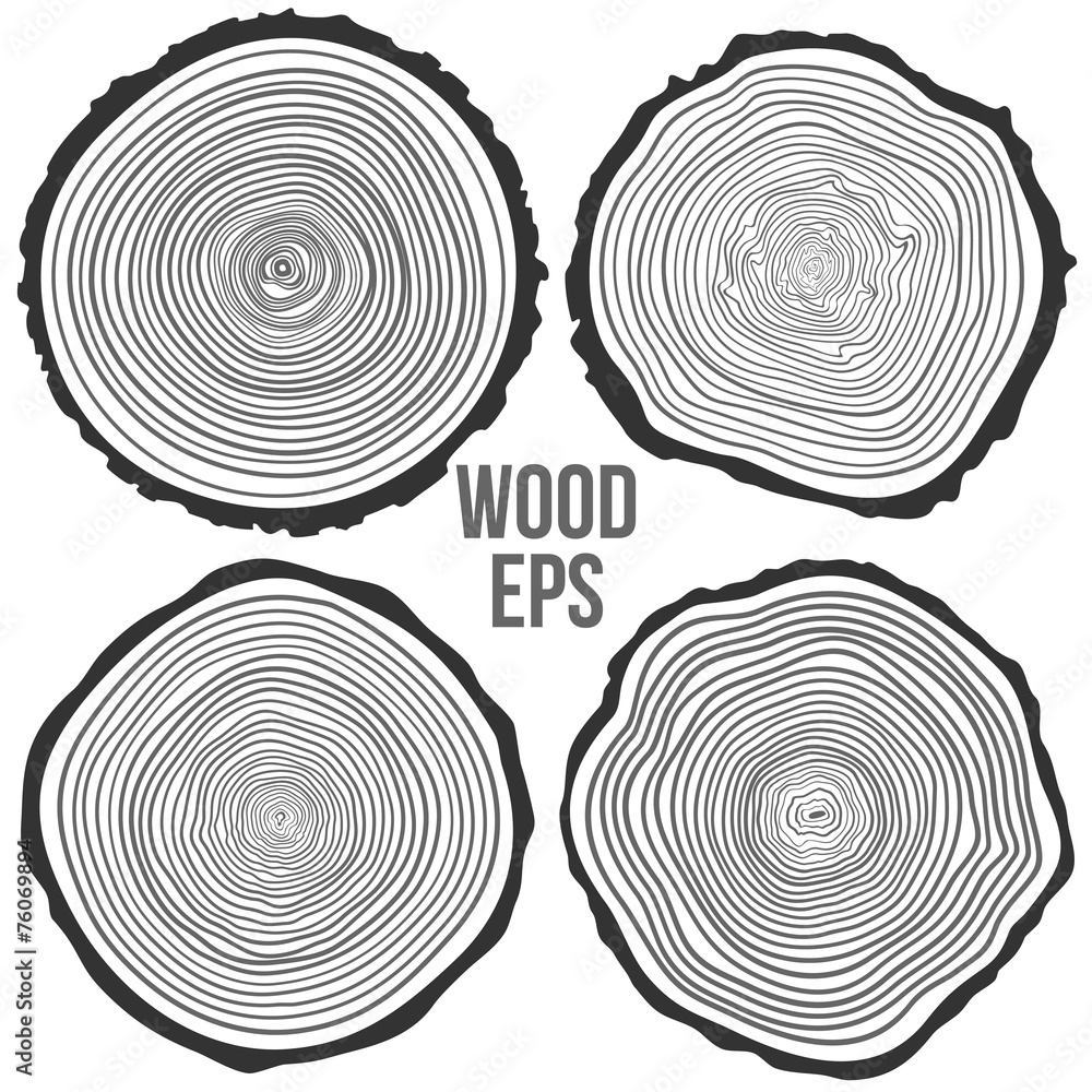 HOW TO COUNT THE RINGS OF A TREE – Alabama Sawyer