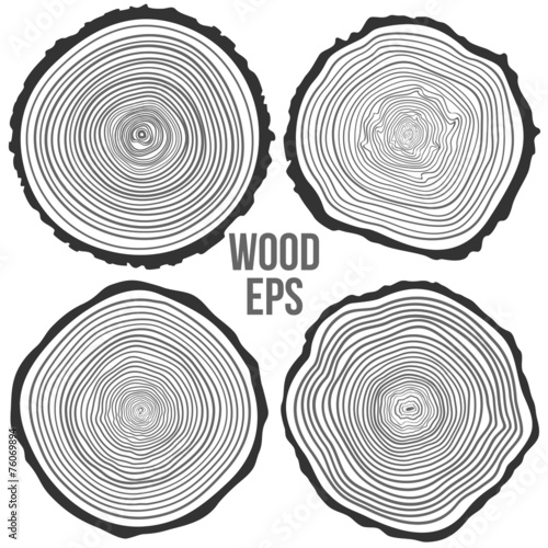 Vector tree rings background and saw cut tree trunk