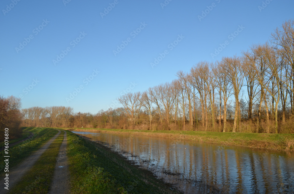 Walking path on dike along river Zenne lined by trees Walking path on dike along river Zenne lined by trees