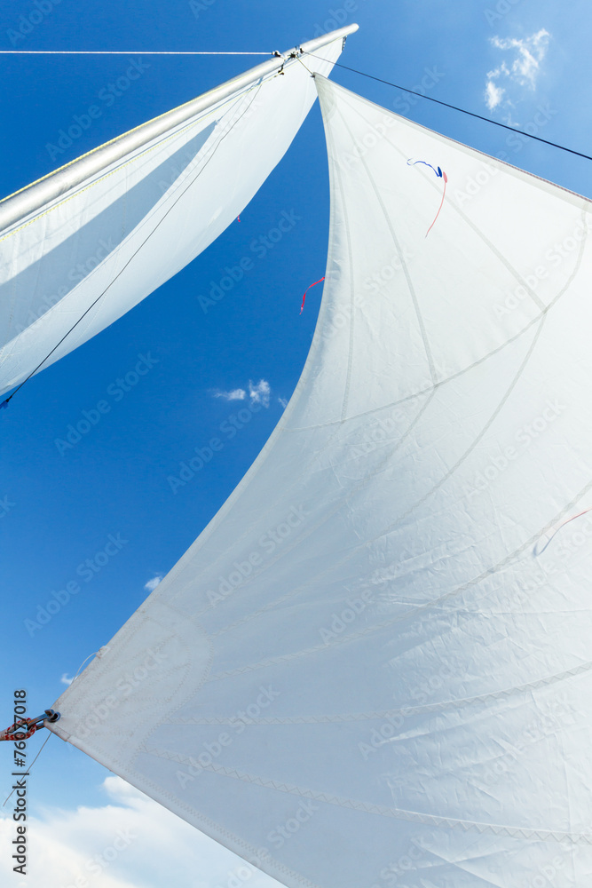Obraz premium White sails