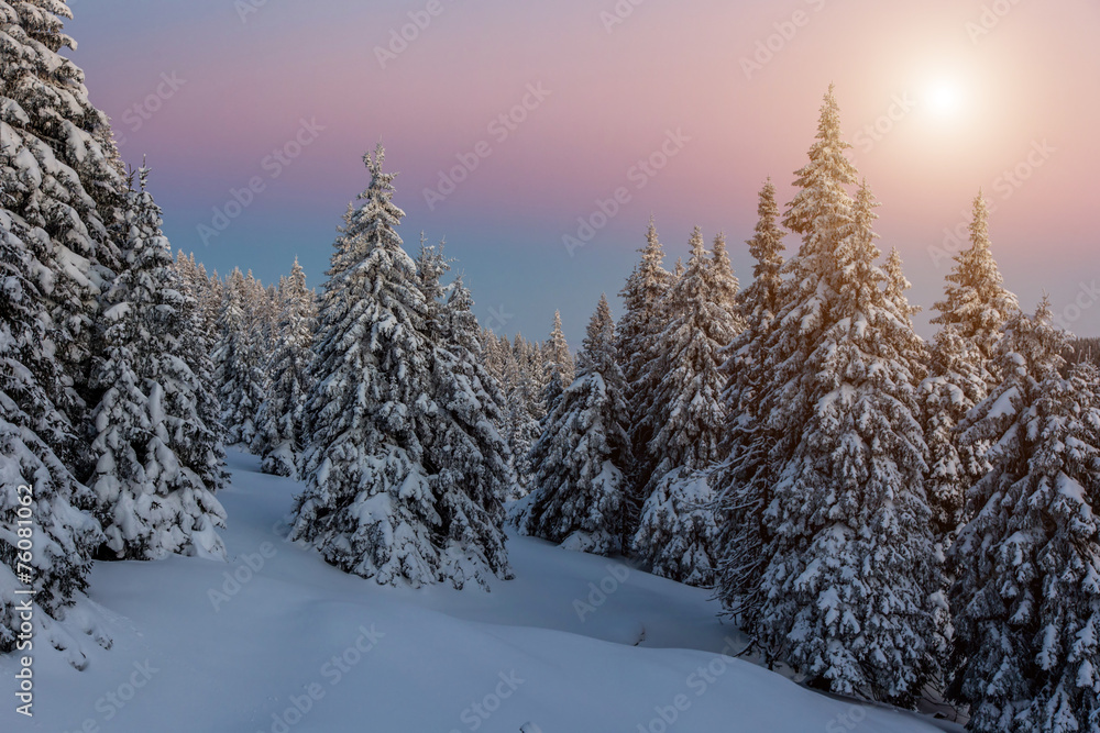 Fototapeta premium Winter sunset