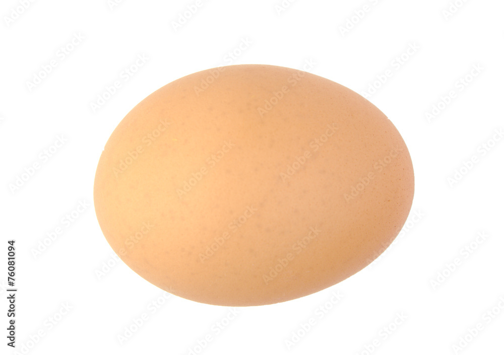 Single brown chicken egg isolated on white. Single brown chicken egg isolated on white.