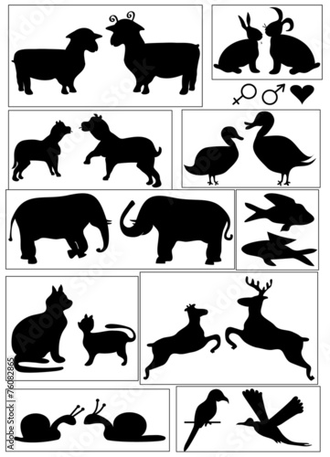 Animal symbols,  vector format
