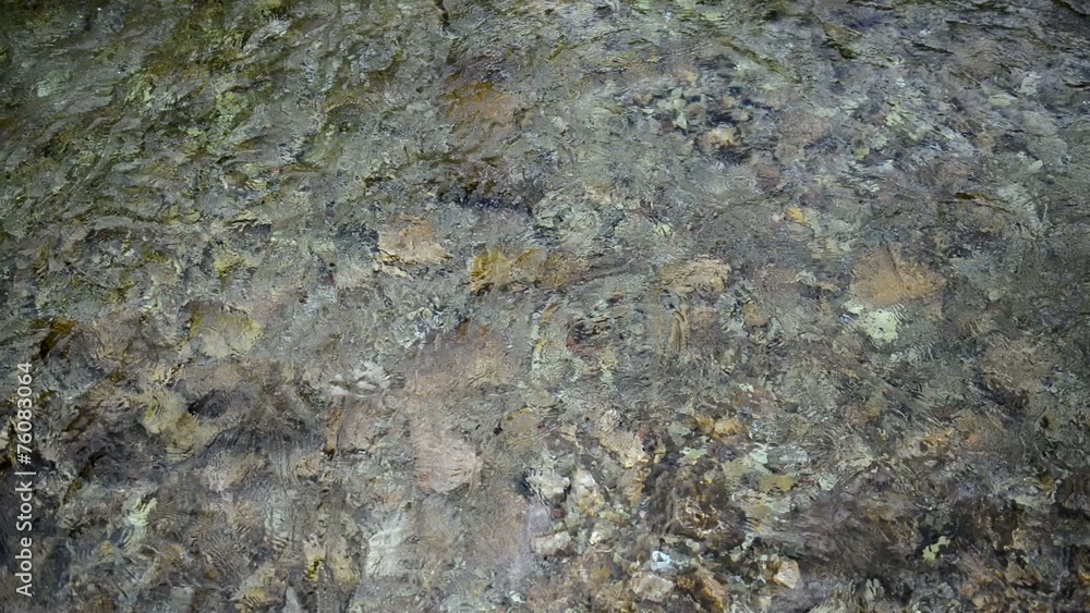 Clean, Pure water in stream moving in mountains Clean, Pure water in stream moving in mountains