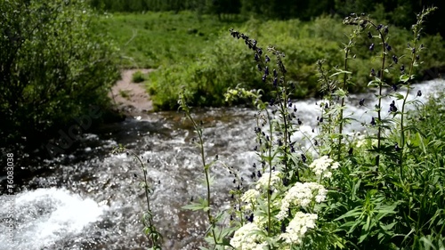 Clean, pure running water in stream in the mountains