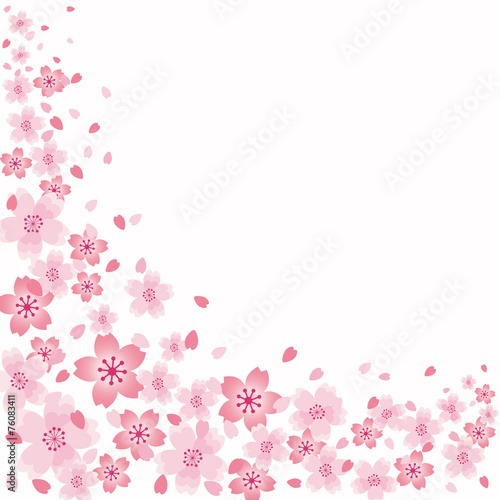 桜　背景