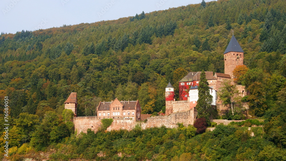 Schloss Zwingenberg am Neckar