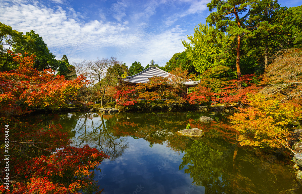 Fototapeta premium Świątynia Daigoji jesienią, Kioto, Japonia