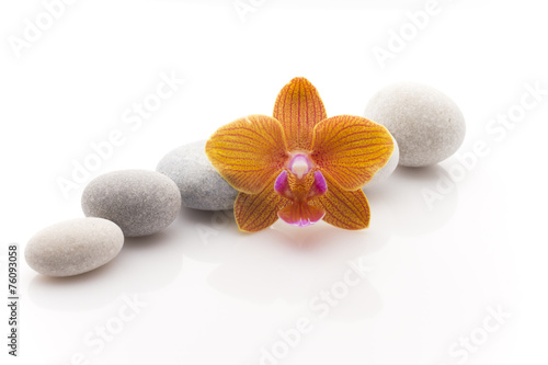 Spa stones.