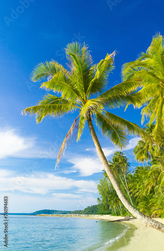 Coconut Coast Green Getaway