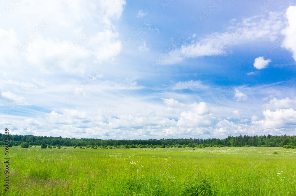 Plain Nature Grass Lawn Plain Nature Grass Lawn