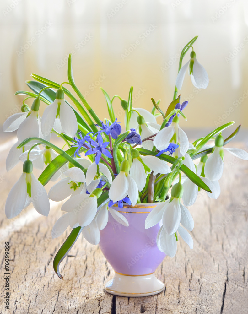 snowdrops in vase on old wood