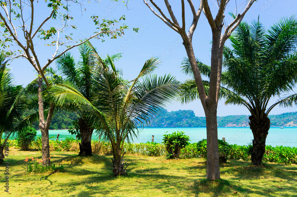 Fototapeta premium Beautiful Beach Relaxation In Peace