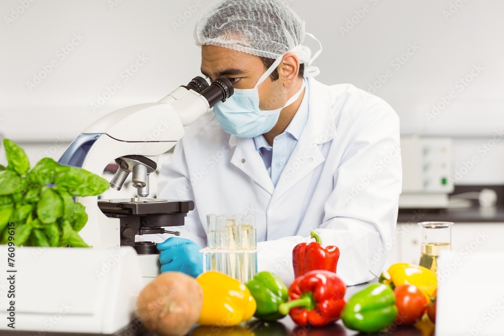 Food scientist using the microscope Food scientist using the microscope