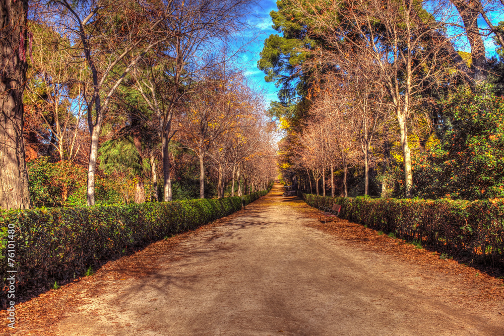 Fototapeta premium Retiro park
