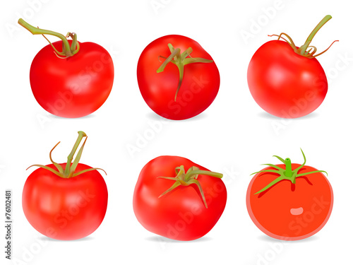 Set of Realistic red Tomatos. Vector illustration. Isolated on w