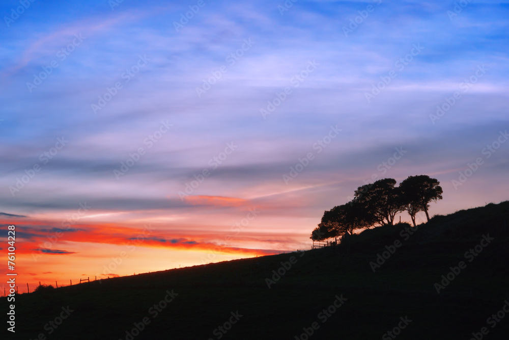 trees silhouette against sunset sky