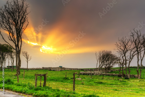 Idyllic sunset over the meadow in Ireland