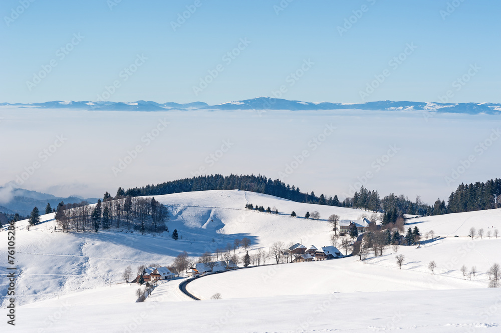 Winterlicher Schwarzwald mit Vogesen