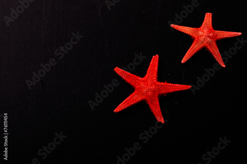 Red starfishes on the old black shabby background