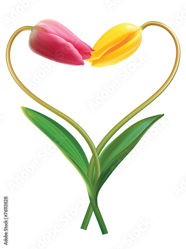 Heart from two tulips. Idea for Valentine's day. Vector illustra