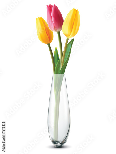 Bouquet of tulips in a glass vase on a white. Vector illustratio