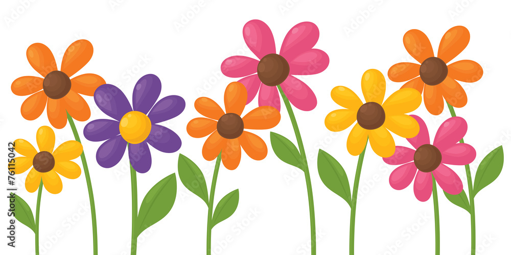 Funky Flowers Funky Flowers