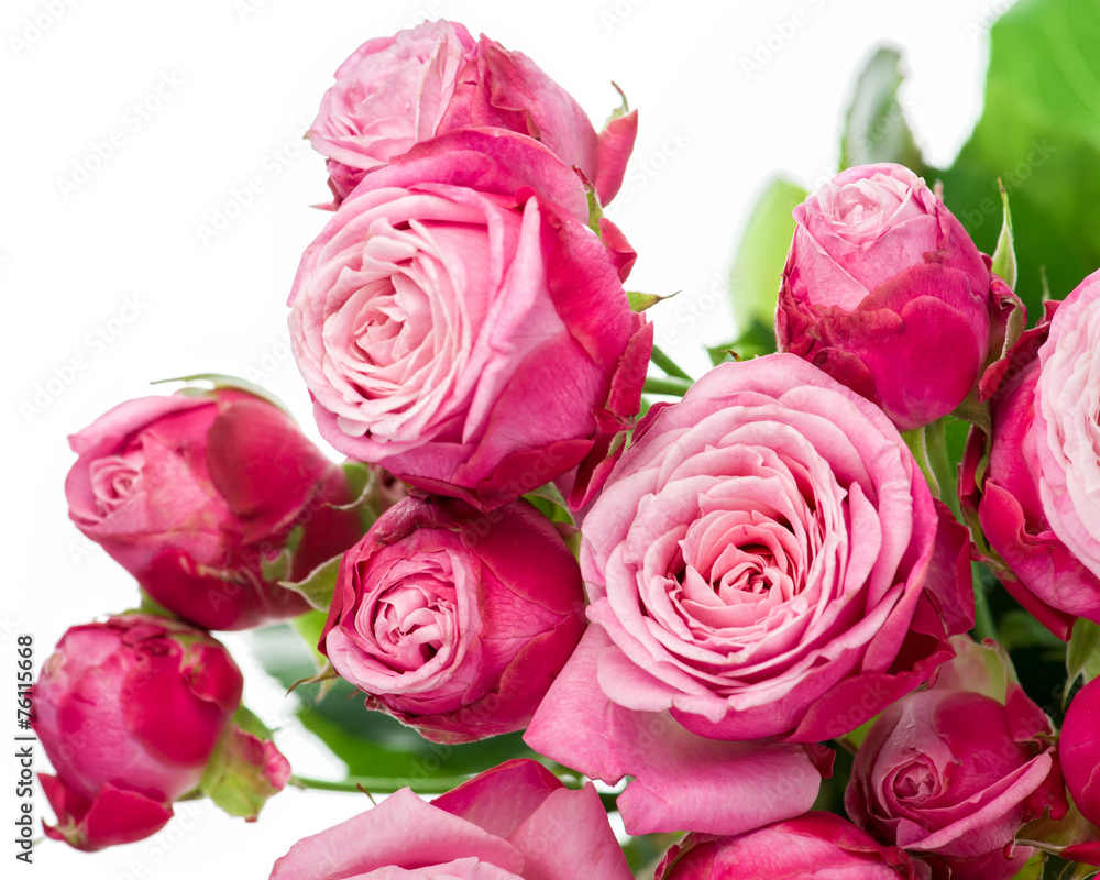 Pink roses bouquet