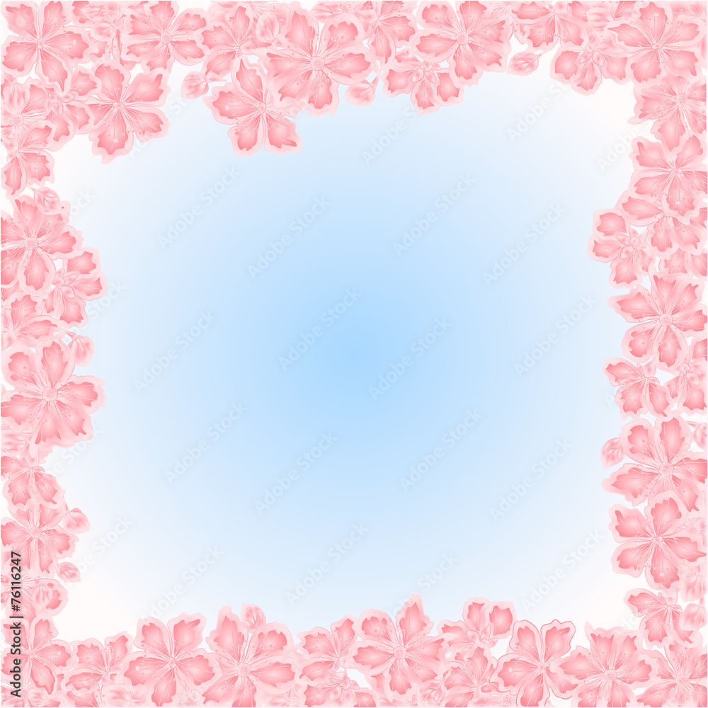 Sakura flowers spring  place for text background vector