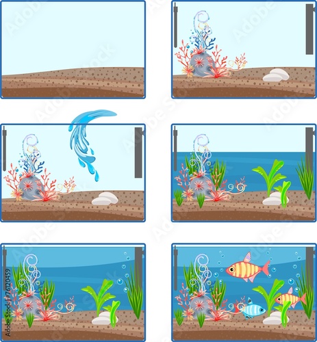 Stages of creating an aquarium