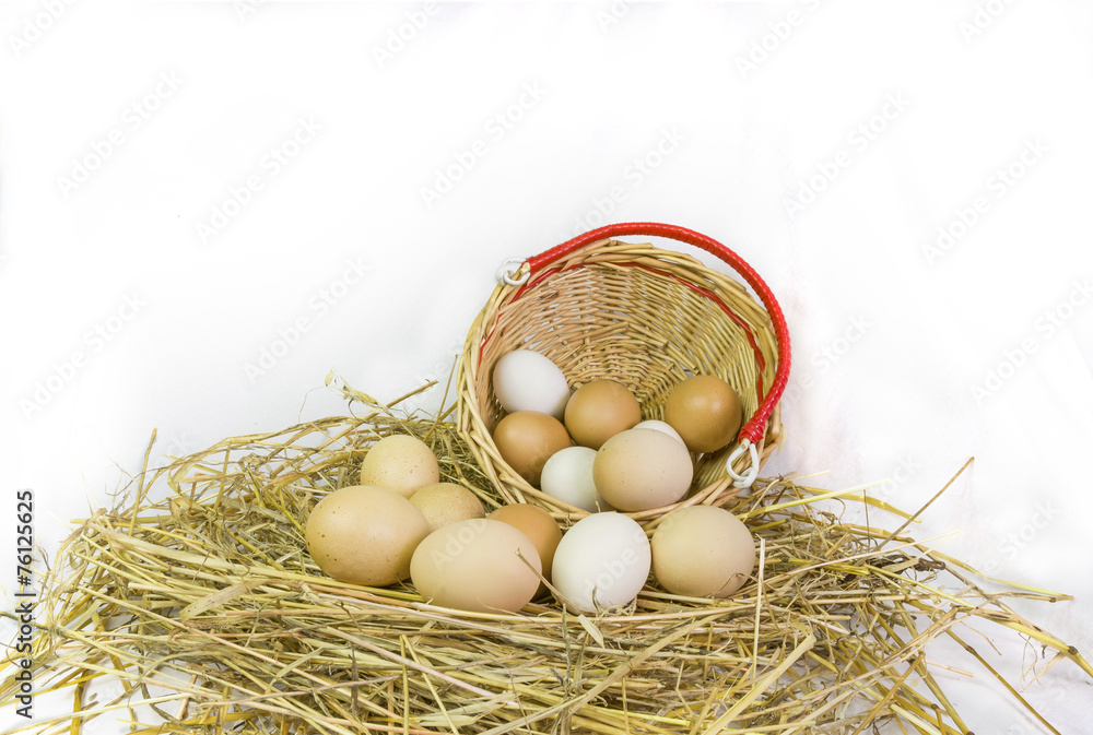 Obraz premium hen 's eggs, nest, basket