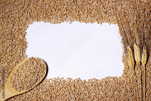 cornice di grano photo