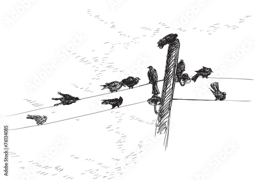 Vector  background of birds Silhouettes on electrical wires
