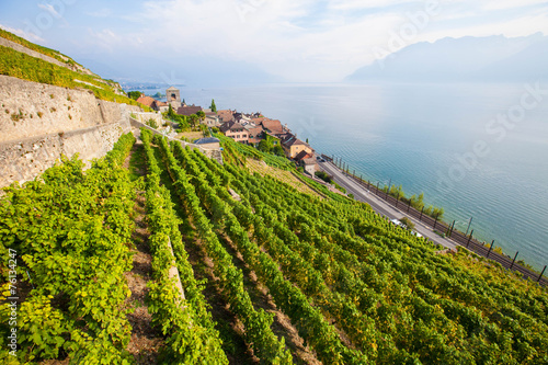Photos Lavaux vineyards on the shore of lake Geneva