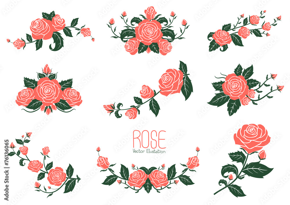 Pink rose Collection, vector illustration - obrazy, fototapety, plakaty 