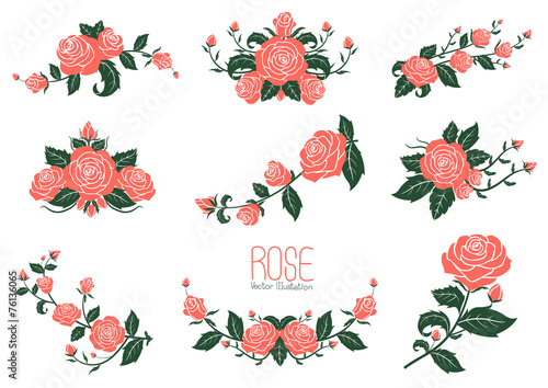 Fototapeta Naklejka Na Ścianę i Meble -  Pink rose Collection, vector illustration