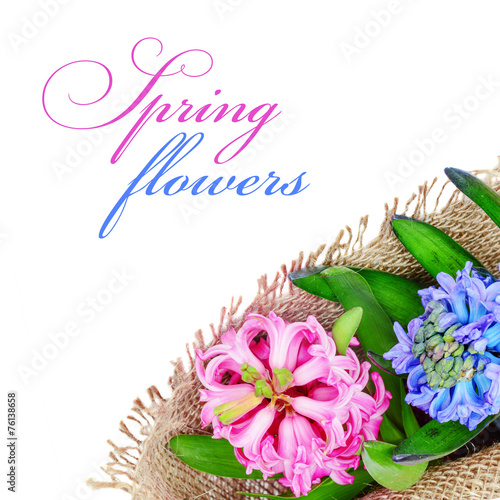 Pink and blue hyacinths