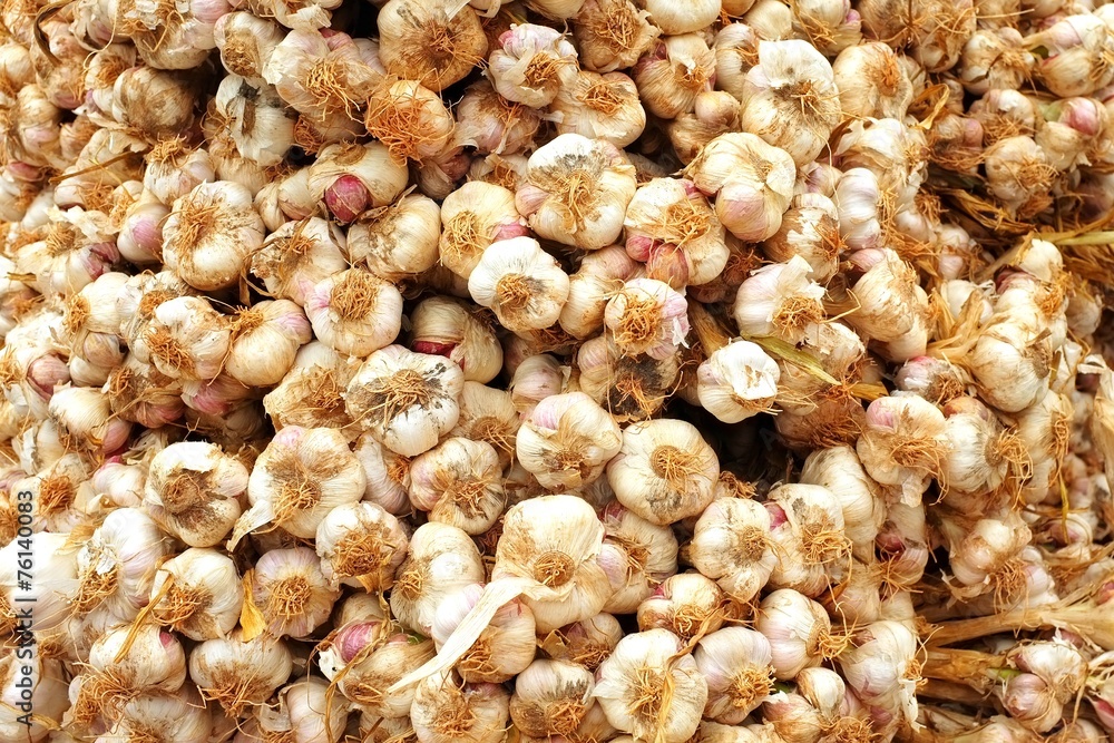 Garlic at the market Garlic at the market