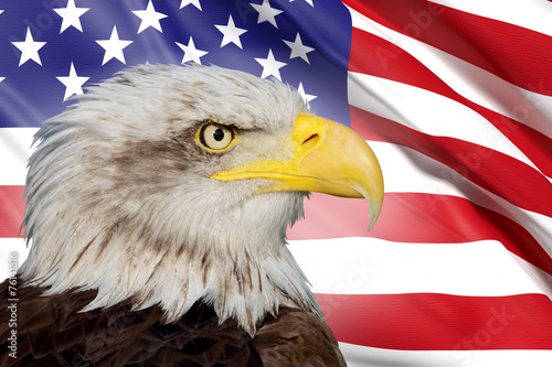 a beautiful bald eagle with a background of a usa flag
