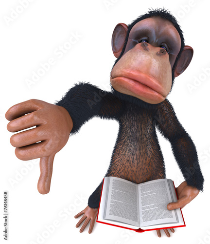 Photography Fun monkey