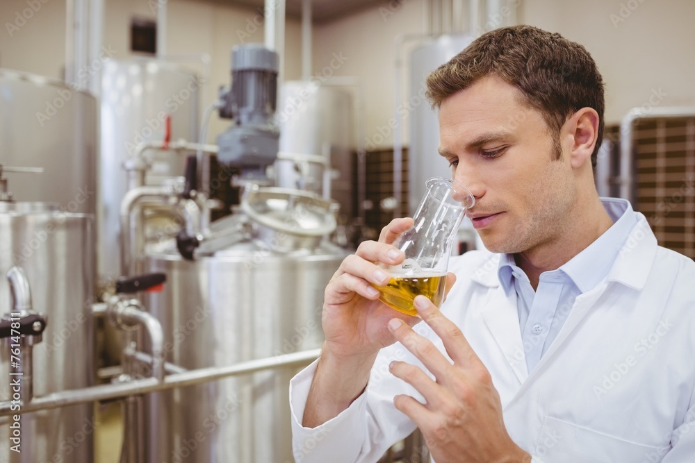 Focused brewer smelling beaker with beer Focused brewer smelling beaker with beer