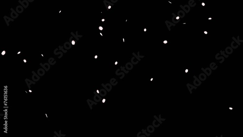 桜吹雪　少なめ