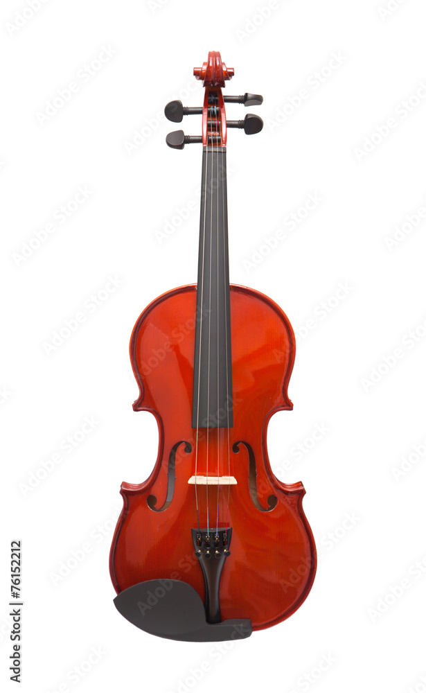 Obraz premium violin isolated
