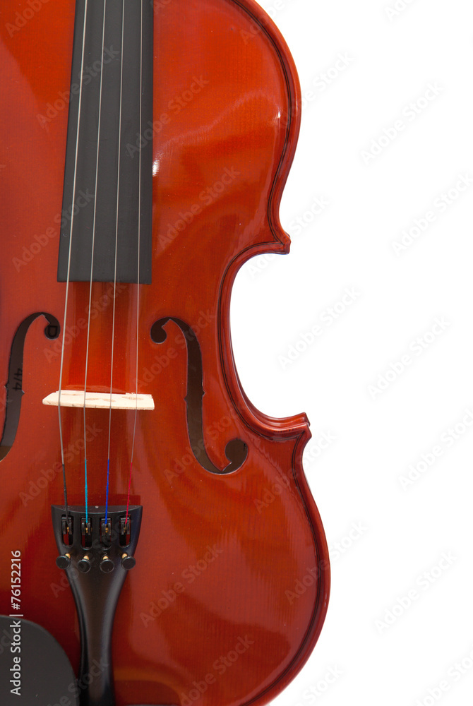 violin isolated