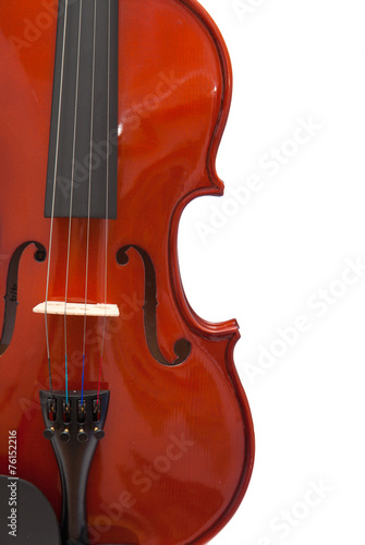 violin isolated photo