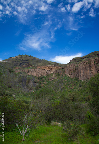 Gran Canaria, Caldera de Bandama after winter rains © Tamara Kulikova